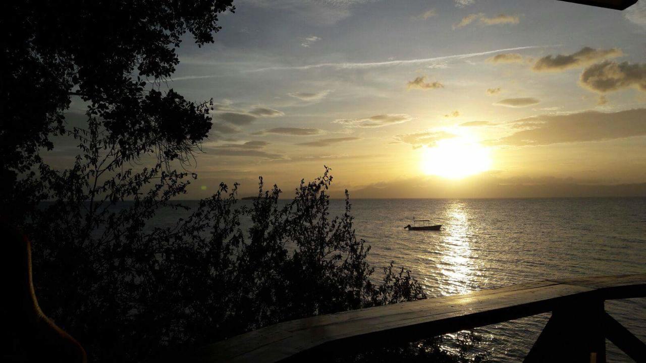 Pescador View - Beach Resort&Restaurant Moalboal Exterior foto